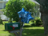 Graduation Balloons